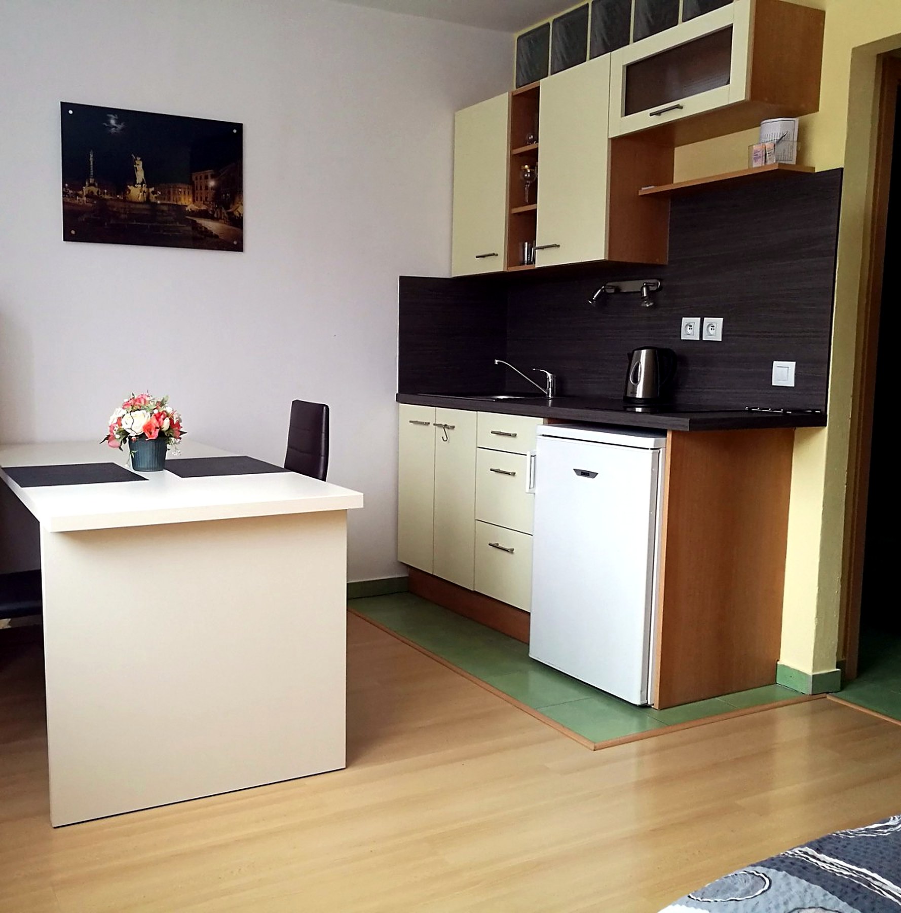 Apartment Letců 3